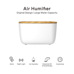Household atomizer